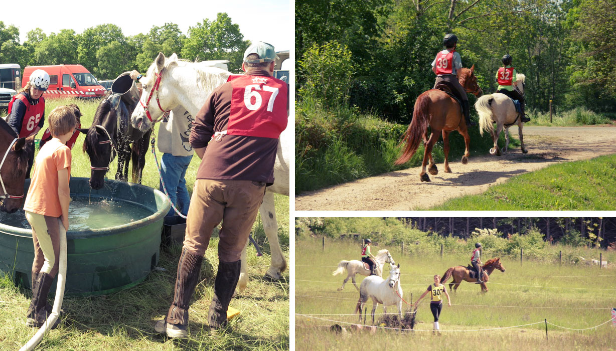 Course d'endurance à cheval autour de la Bastide de Beaumont